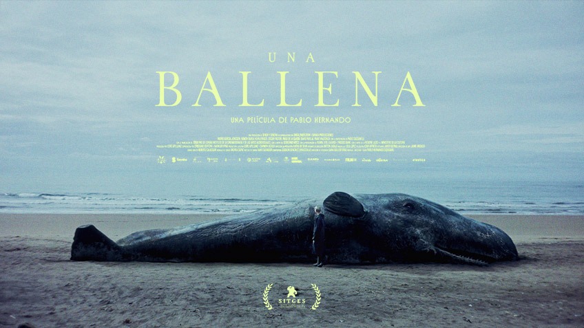 una-ballena-vfx-compositor-barcelona-madrid-doitleft